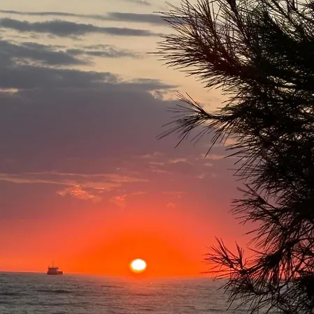 Sea La Vie